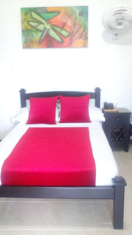 Hotel Colonial بيريرا المظهر الخارجي الصورة